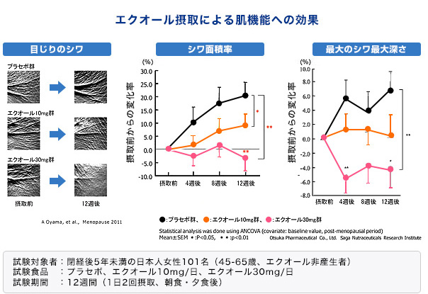 エクオール摂取による肌機能への効果