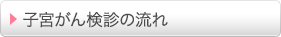 子宮がん検診の流れ