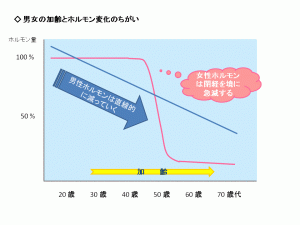 男女の加齢とホルモン変化の違い